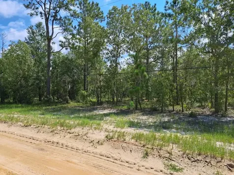 216 Highland Drive Hawthorne FL 32640