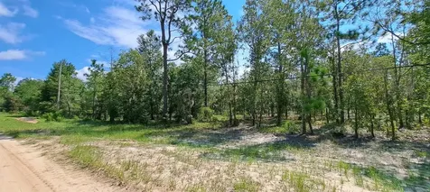 216 Highland Drive Hawthorne FL 32640