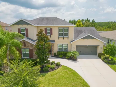 32040 Sandspirit Place Wesley Chapel FL 33543