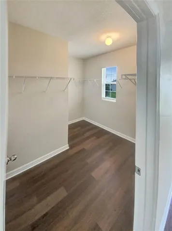 8174 Pelican Reed Circle Wesley Chapel FL 33545