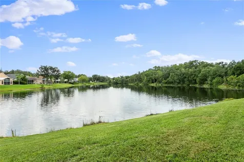 13507 Staghorn Road Tampa FL 33626