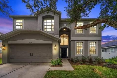 30622 Annadale Drive Wesley Chapel FL 33545