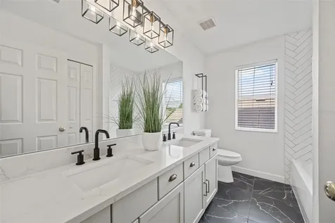 30622 Annadale Drive Wesley Chapel FL 33545