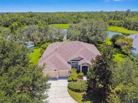 15911 Sorawater Drive Lithia FL 33547