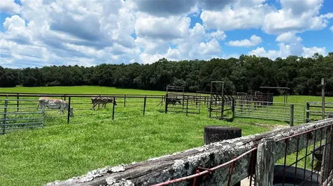 2124 Happy Hollow Road Bonifay FL 32425