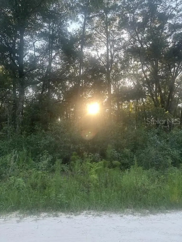 Lots 2 & 3 SW 156 Avenue Ocala FL 34481