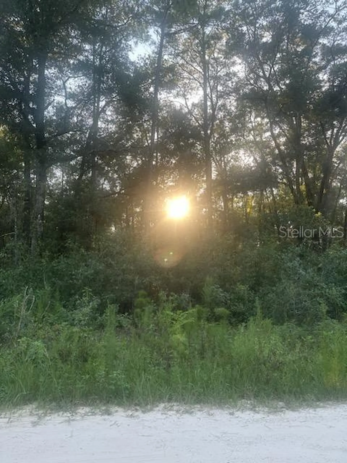 Lots 2 & 3 SW 156 Avenue Ocala FL 34481
