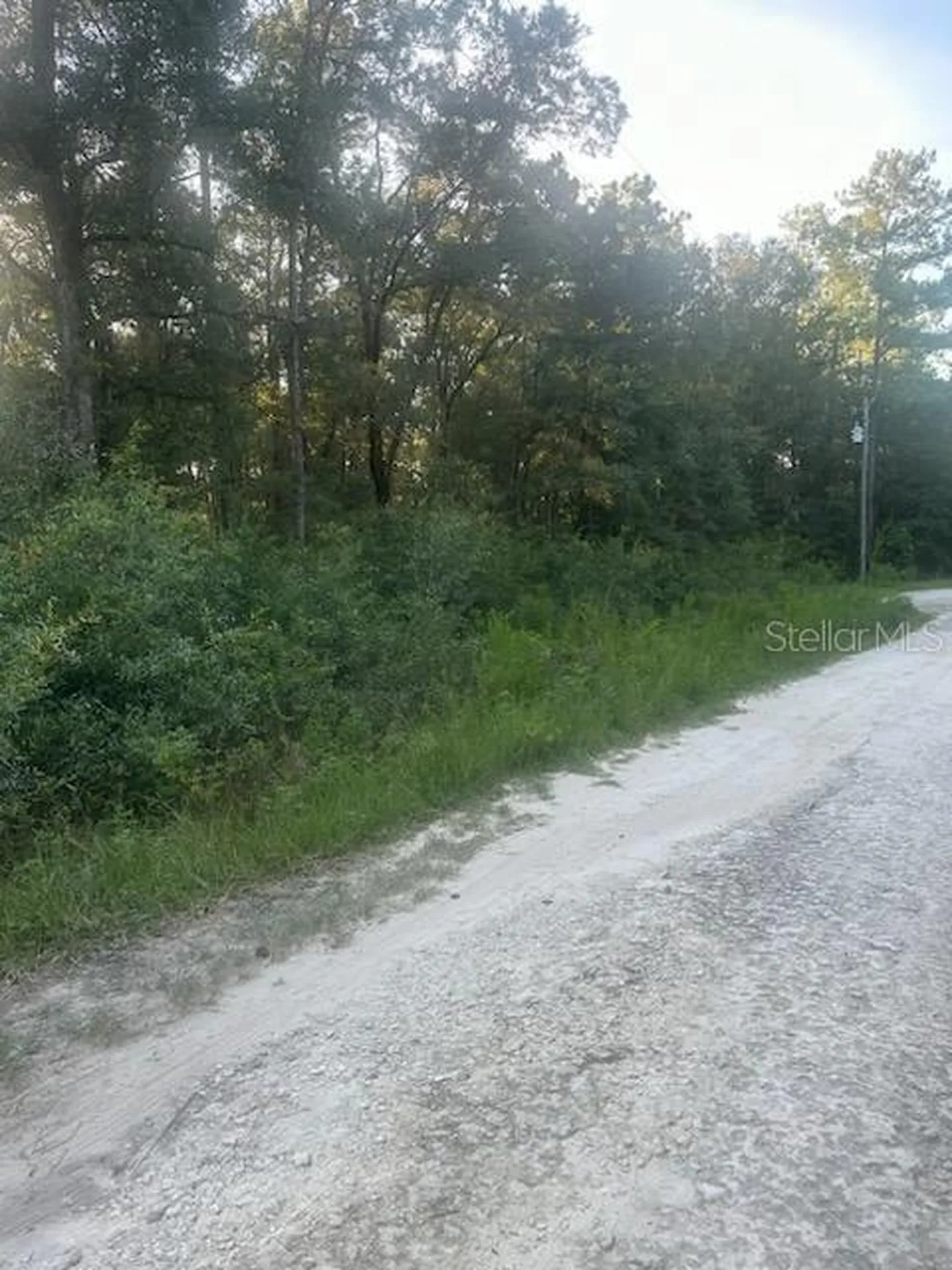 Lots 2 & 3 SW 156 Avenue Ocala FL 34481