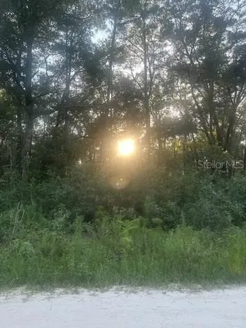 Lots 2 & 3 SW 156 Avenue Ocala FL 34481