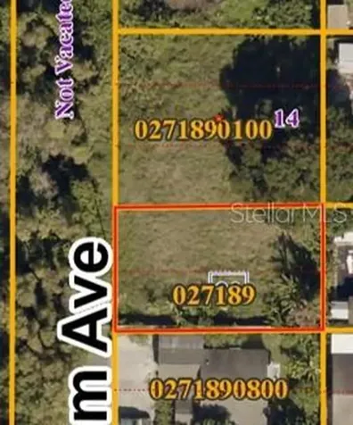 8217 Blossom Avenue Tampa FL 33614