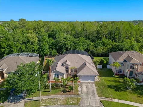 2602 Royal Fern Place Kissimmee FL 34758