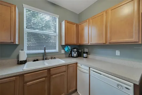 10910 Black Swan Court Seffner FL 33584
