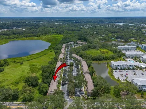 10910 Black Swan Court Seffner FL 33584
