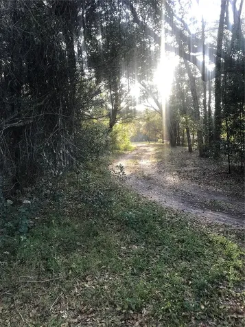 1656 Atlantis Drive Apopka FL 32703