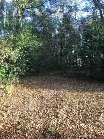 1656 Atlantis Drive Apopka FL 32703