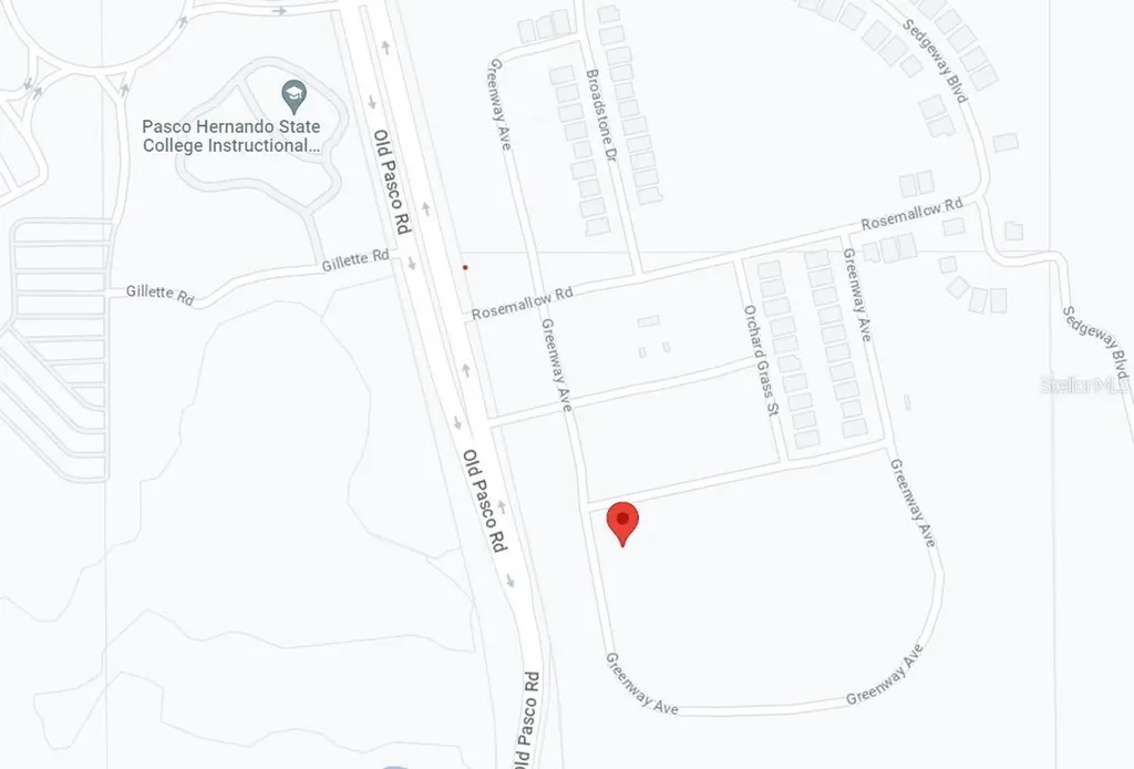 8119 Greenway Avenue Wesley Chapel FL 33544