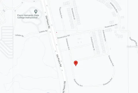 8119 Greenway Avenue Wesley Chapel FL 33544
