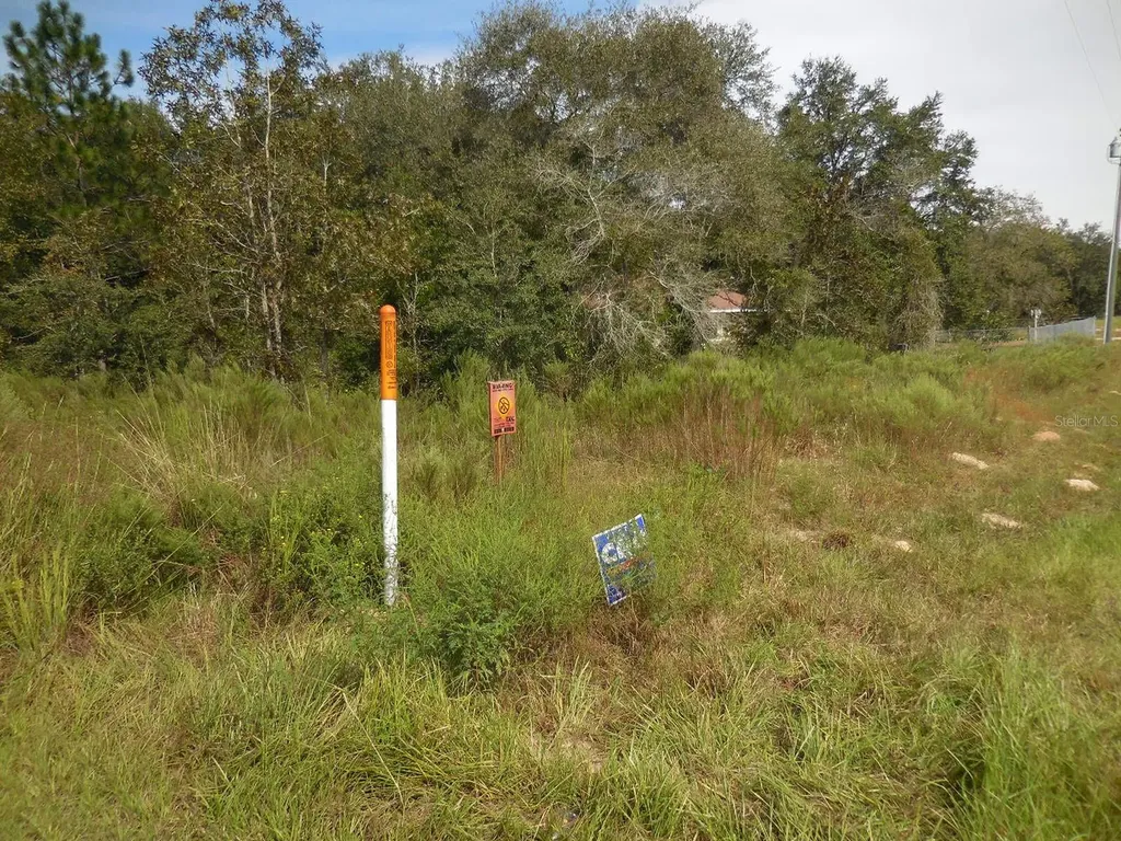 6291 NE 112th Terrace Williston FL 32696