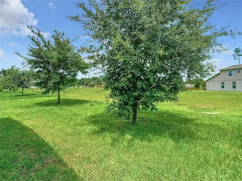 2513 Ocoee Reserve Court Ocoee FL 34761