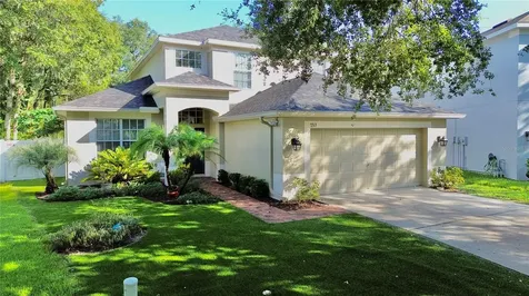 7313 Brightwater Oaks Drive Tampa FL 33625