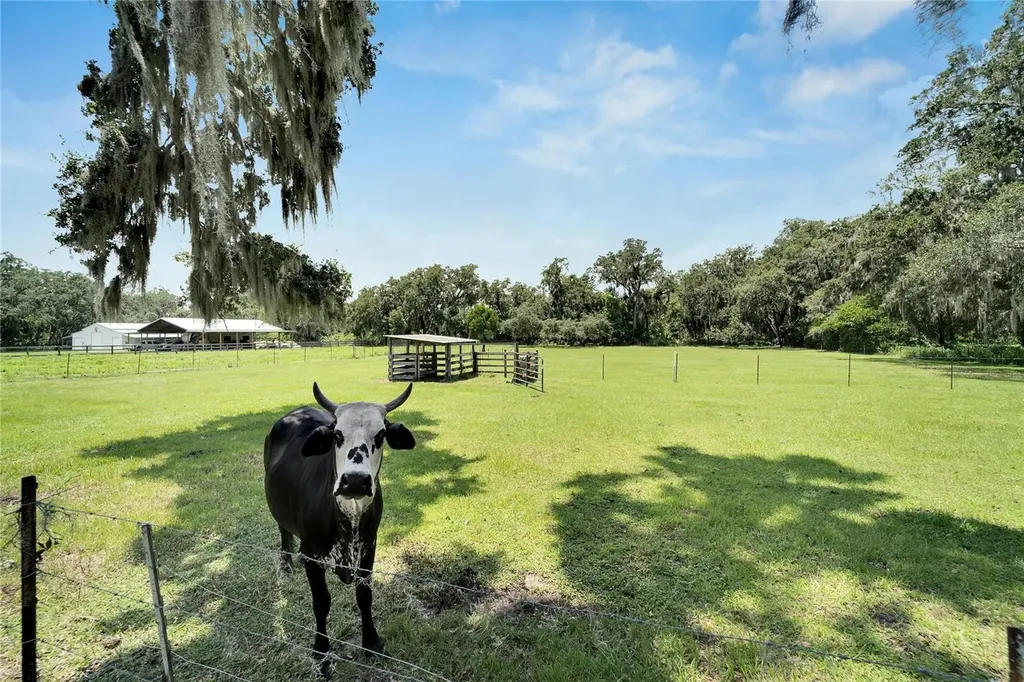 3003 N Wilder Road Plant City FL 33563