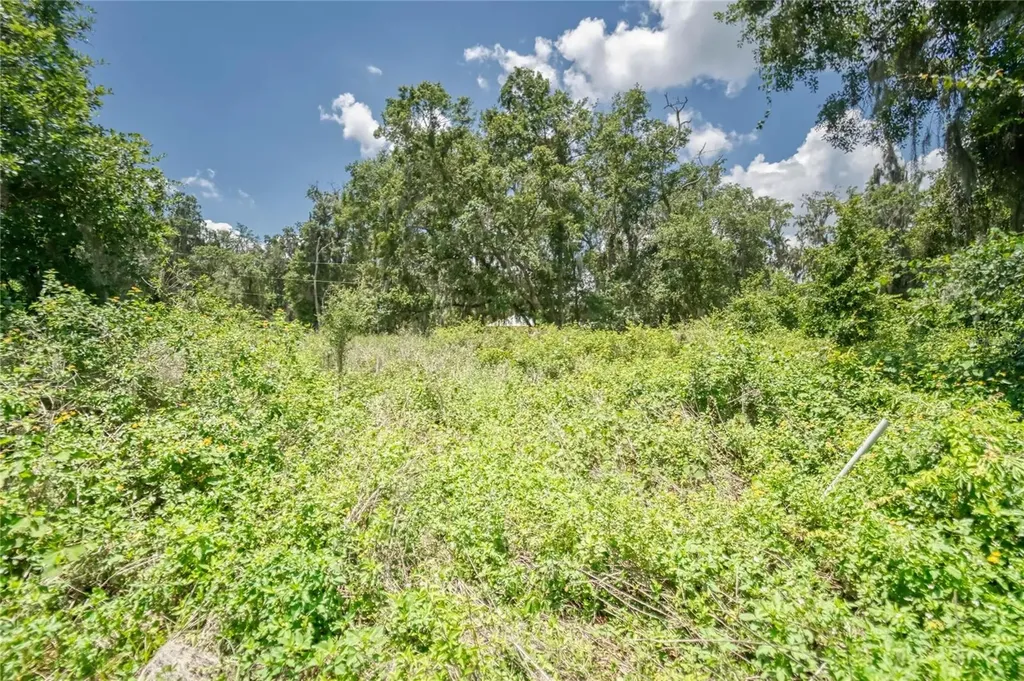 3113 N Wilder Road Plant City FL 33563