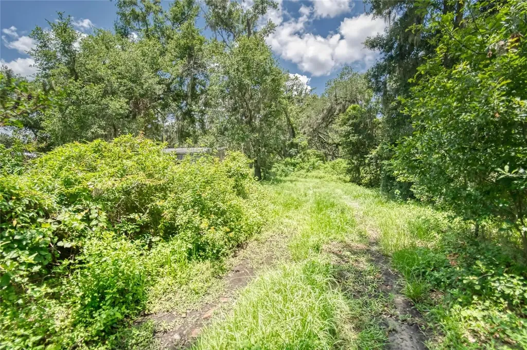 3113 N Wilder Road Plant City FL 33563