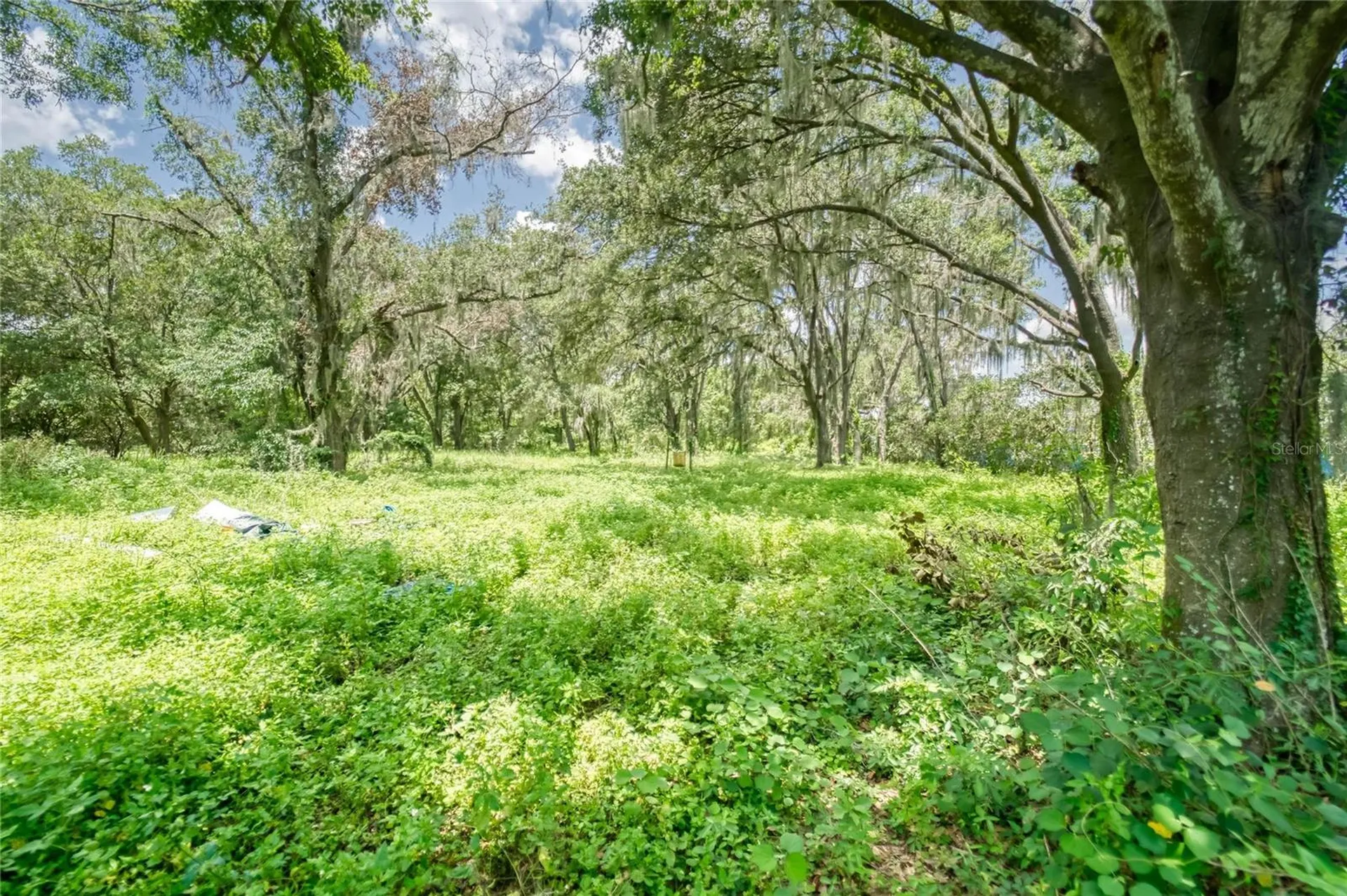 3113 N Wilder Road Plant City FL 33563