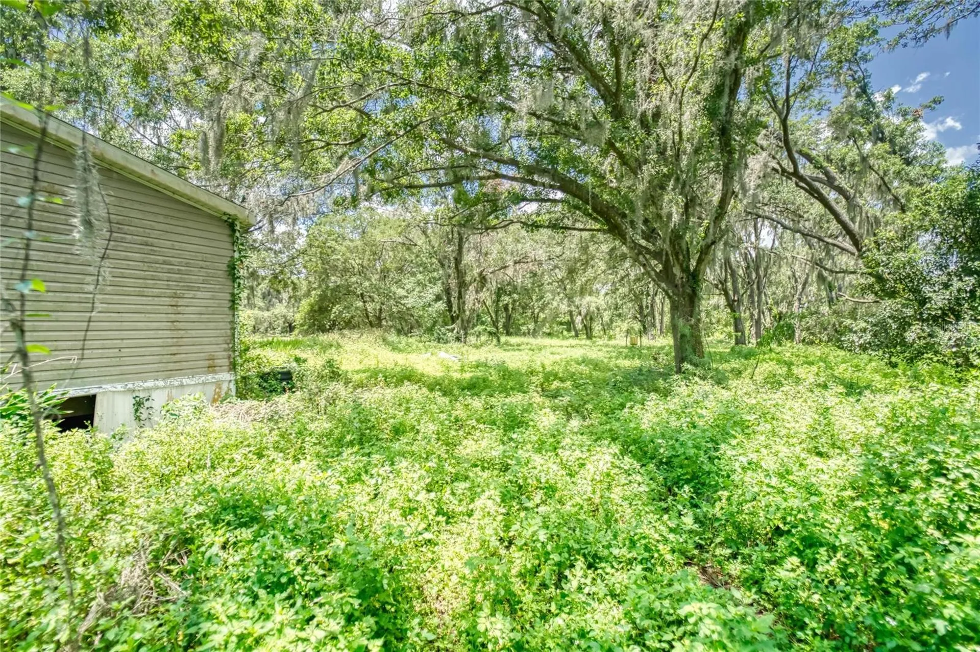 3113 N Wilder Road Plant City FL 33563
