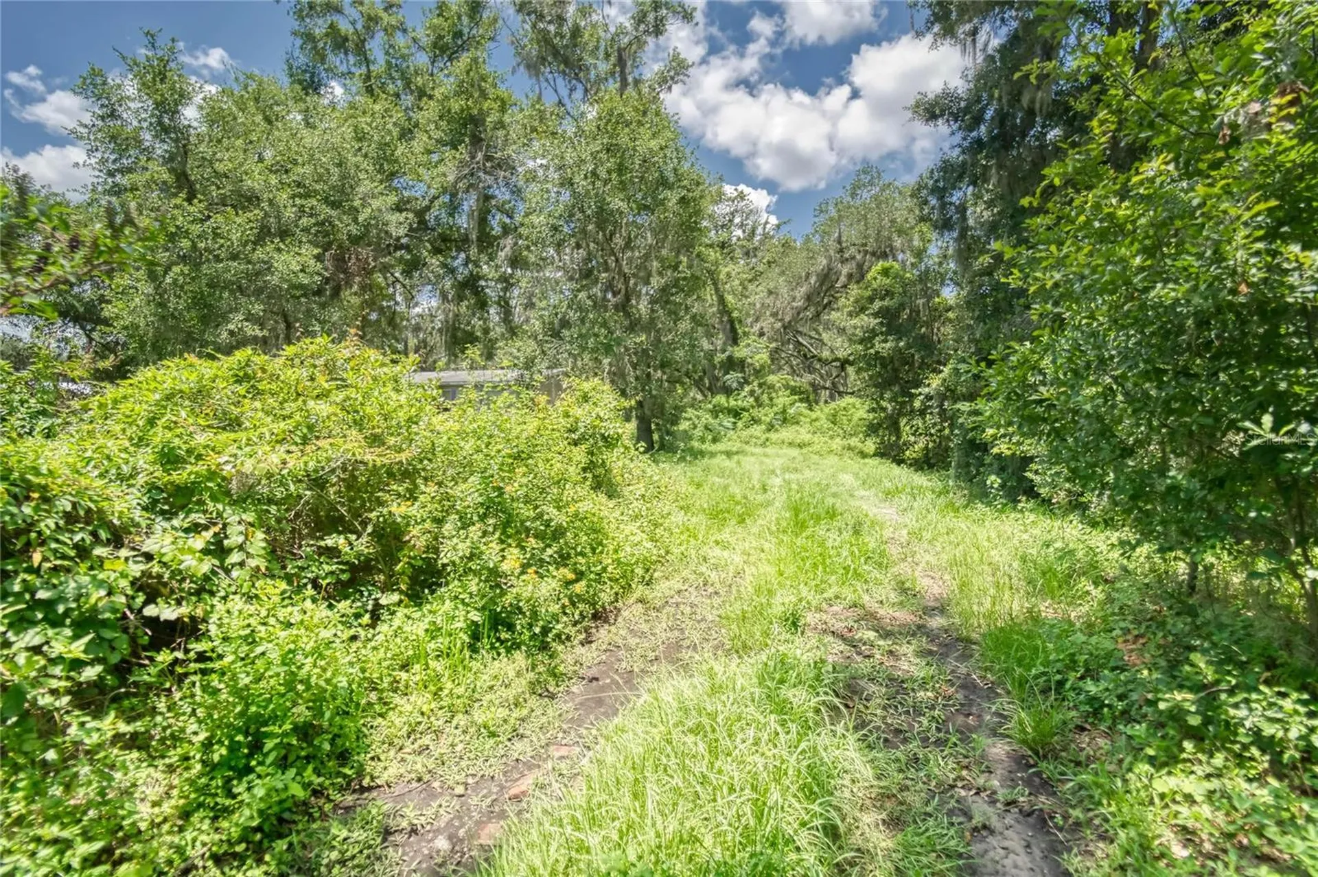 3113 N Wilder Road Plant City FL 33563