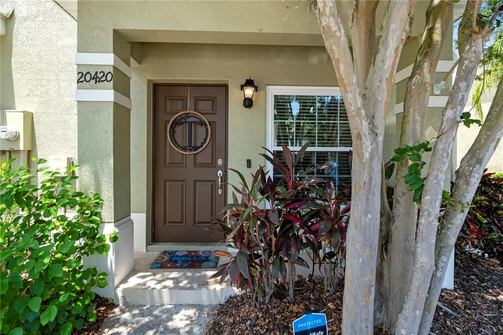 20420 Berrywood Lane Tampa FL 33647
