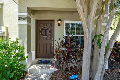 20420 Berrywood Lane Tampa FL 33647