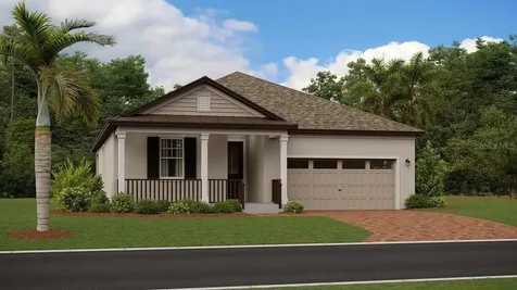 17238 Mango Shay Court Land O Lakes FL 34638