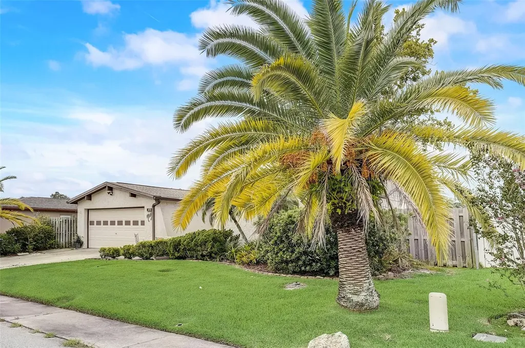 9721 Lakeside Lane Port Richey FL 34668