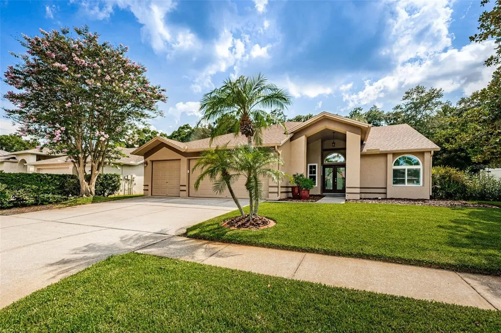 10216 Vista Pointe Drive Tampa FL 33635