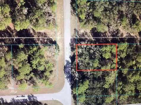 0 SW 50 Avenue Road Ocala FL 34473