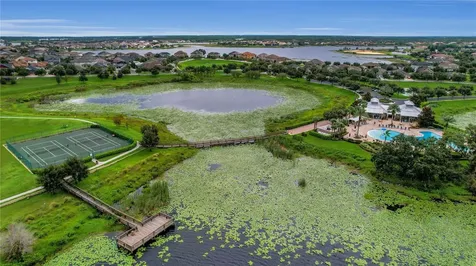 15479 Murcott Blossom Boulevard Winter Garden FL 34787