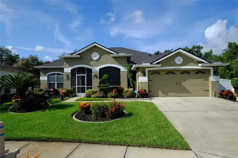 28642 Crooked Stick Court Wesley Chapel FL 33543