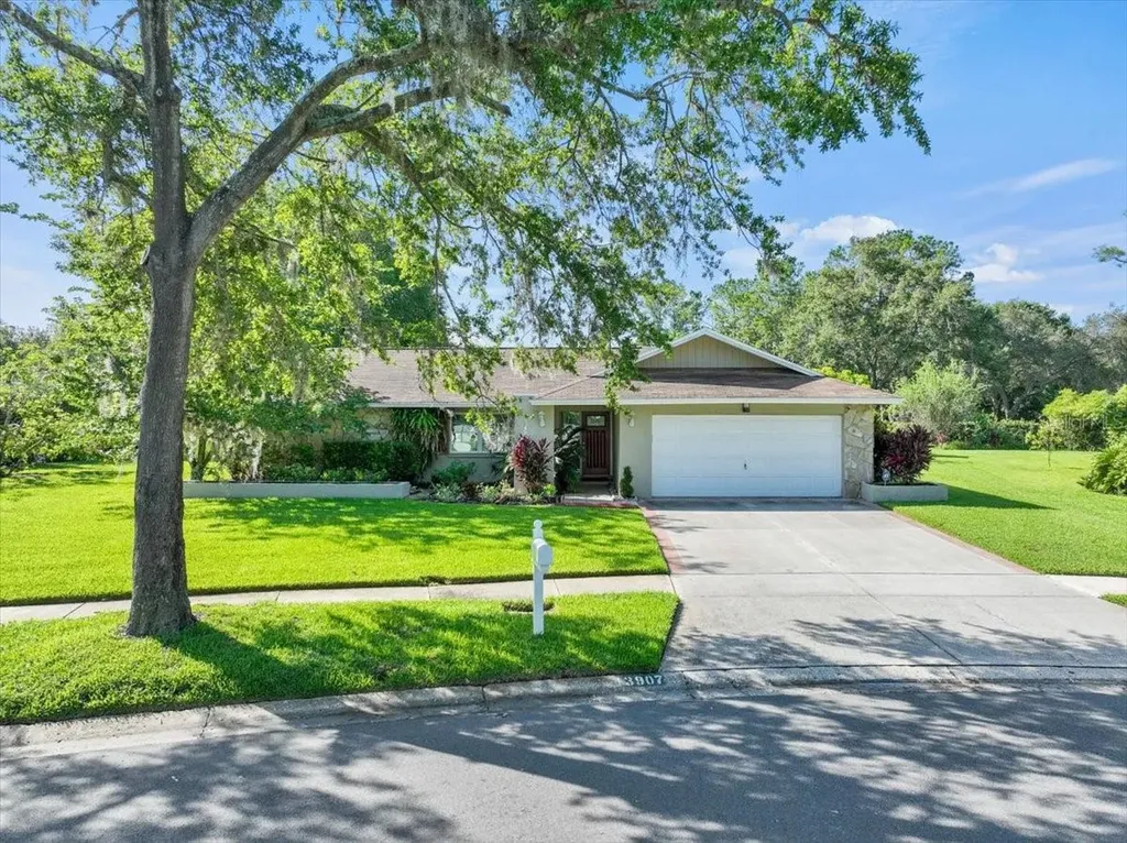 13907 Wolcott Drive Tampa FL 33624