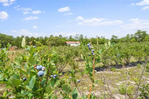 130 Strawberry Lane Pomona Park FL 32181