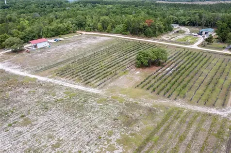 130 Strawberry Lane Pomona Park FL 32181
