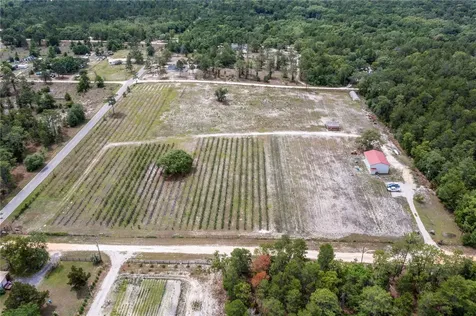 130 Strawberry Lane Pomona Park FL 32181