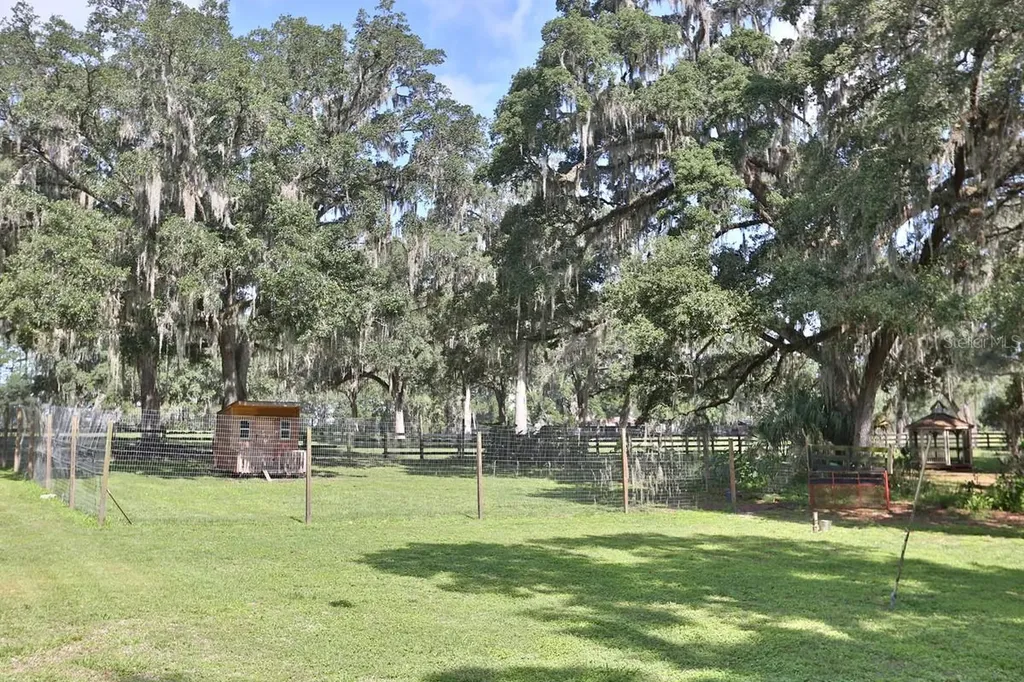 13450 NW Gainesville Road Reddick FL 32686
