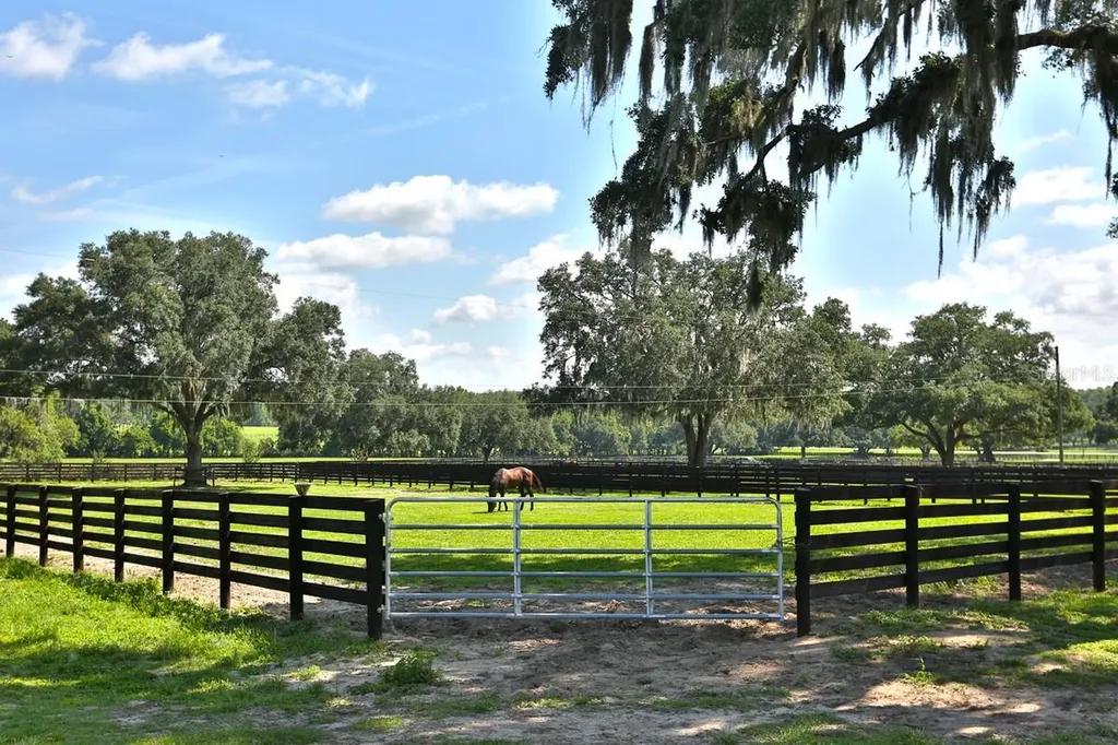 13450 NW Gainesville Road Reddick FL 32686