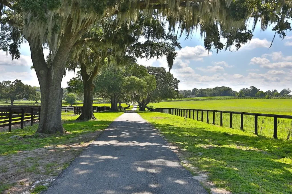 13450 NW Gainesville Road Reddick FL 32686