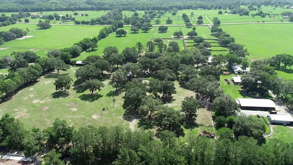 13450 NW Gainesville Road Reddick FL 32686