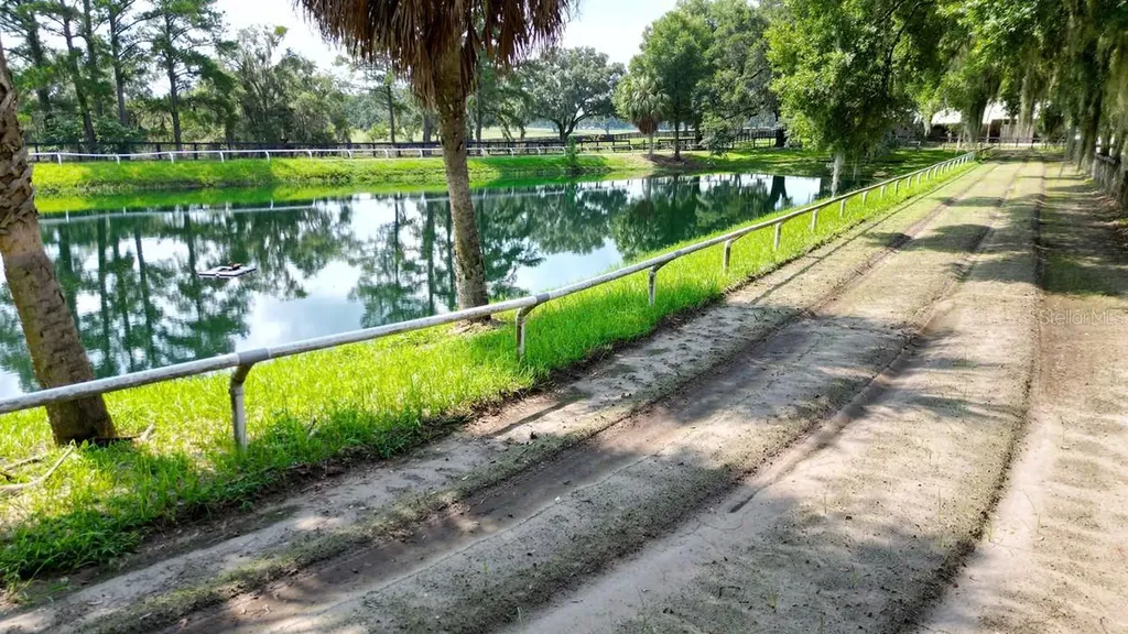 13450 NW Gainesville Road Reddick FL 32686