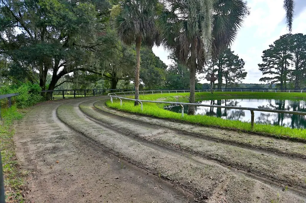 13450 NW Gainesville Road Reddick FL 32686