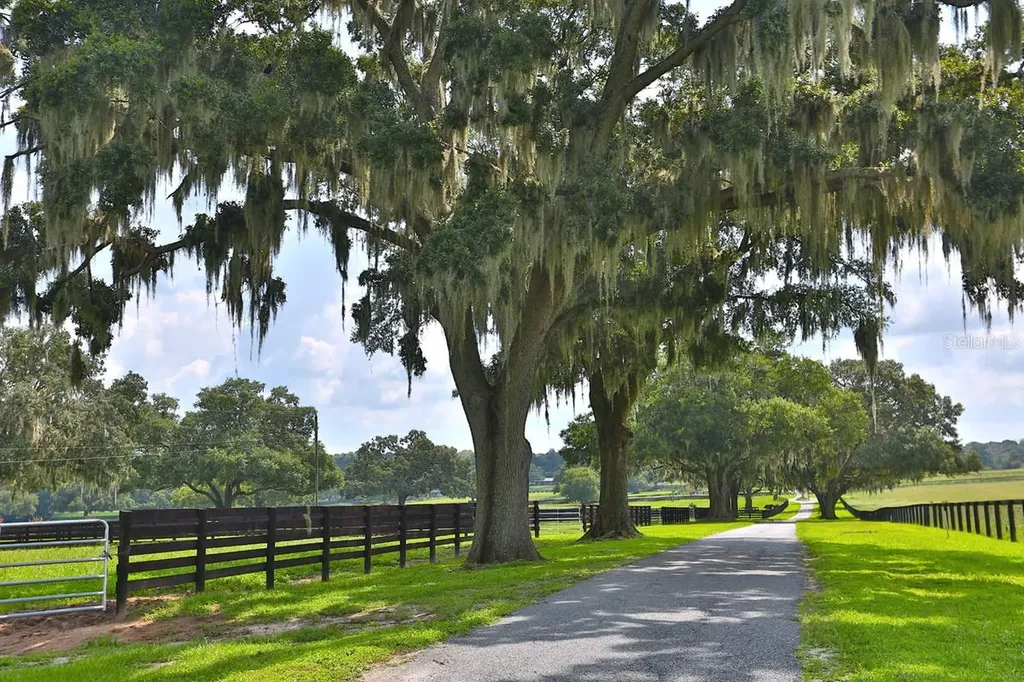 13450 NW Gainesville Road Reddick FL 32686