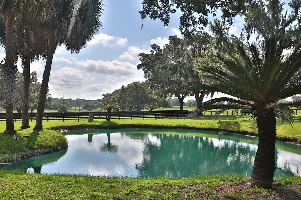 13450 NW Gainesville Road Reddick FL 32686